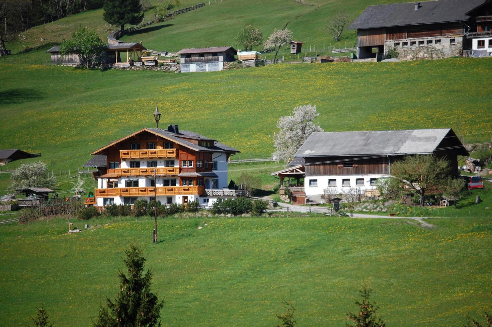 Hocheggerhof - Urlaub Am Bauernhof Villa Schladming Ngoại thất bức ảnh